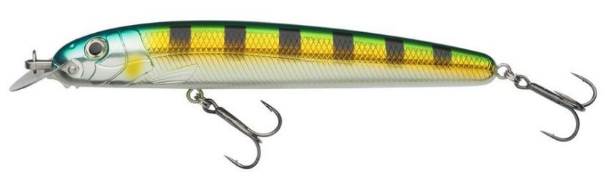 Abu Garcia Beast Hi-Lo Pike / Predator Fishing Lures - Sinking