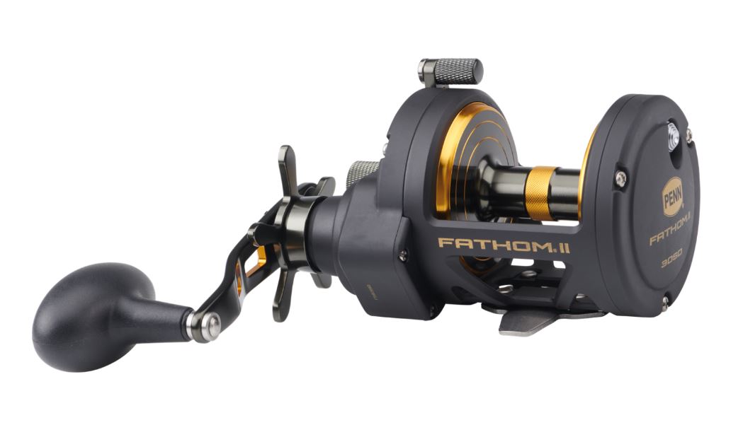 New PENN® Fathom® II 30 Star Drag Multiplier Reel - 1505236