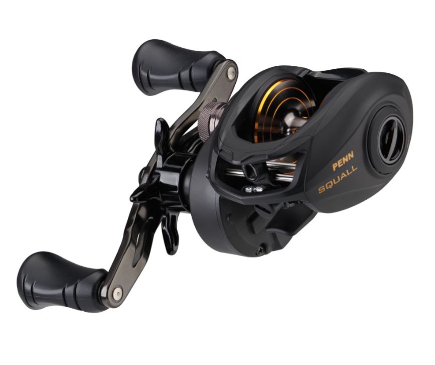 New PENN® Squall® 300LP Low Profile RHW Baitcasting Multiplier Reel - 1525504