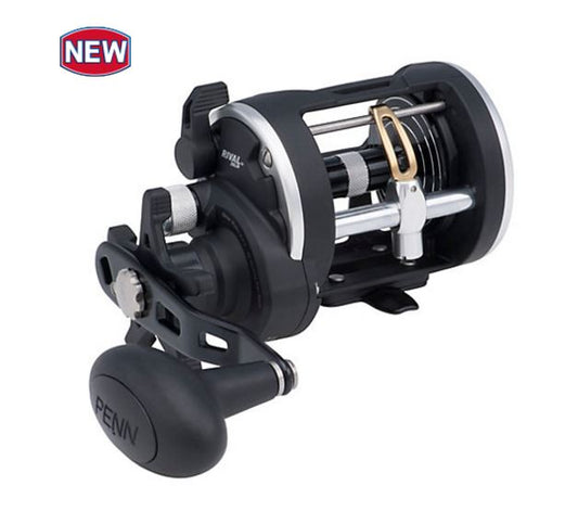 New PENN Rival 20 Level Wind Multiplier Fishing Reel RIV20LW 1403995